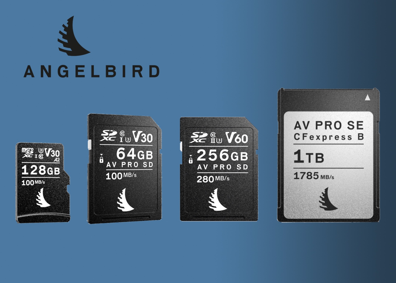 AngelBird Memory Cards