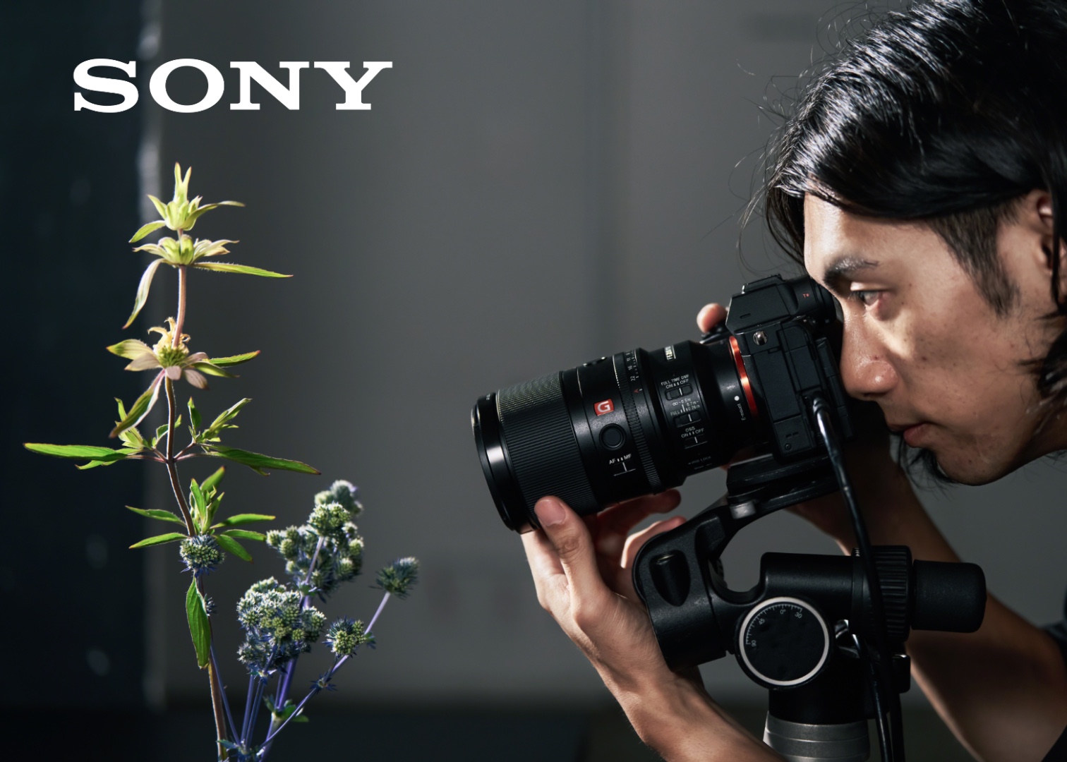 The new Sony 100mm GM OSS Macro