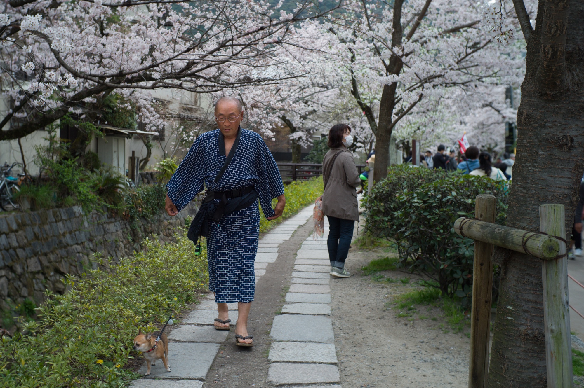 Japan 2016