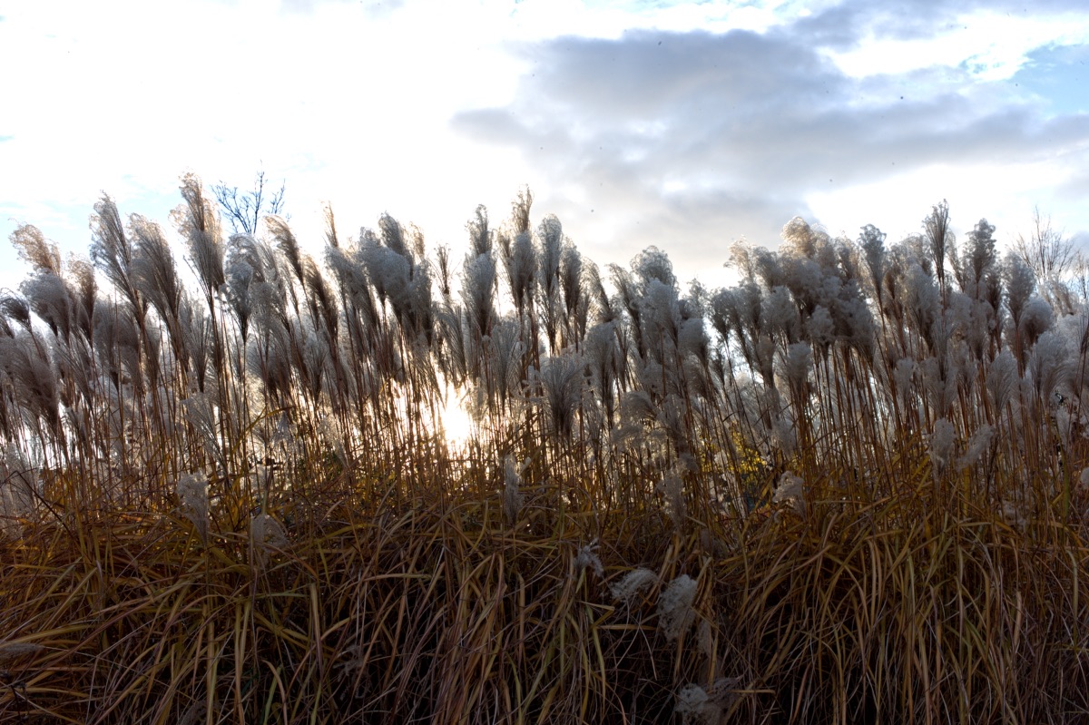 M Vision 2016 - Blue sky on Griffintown