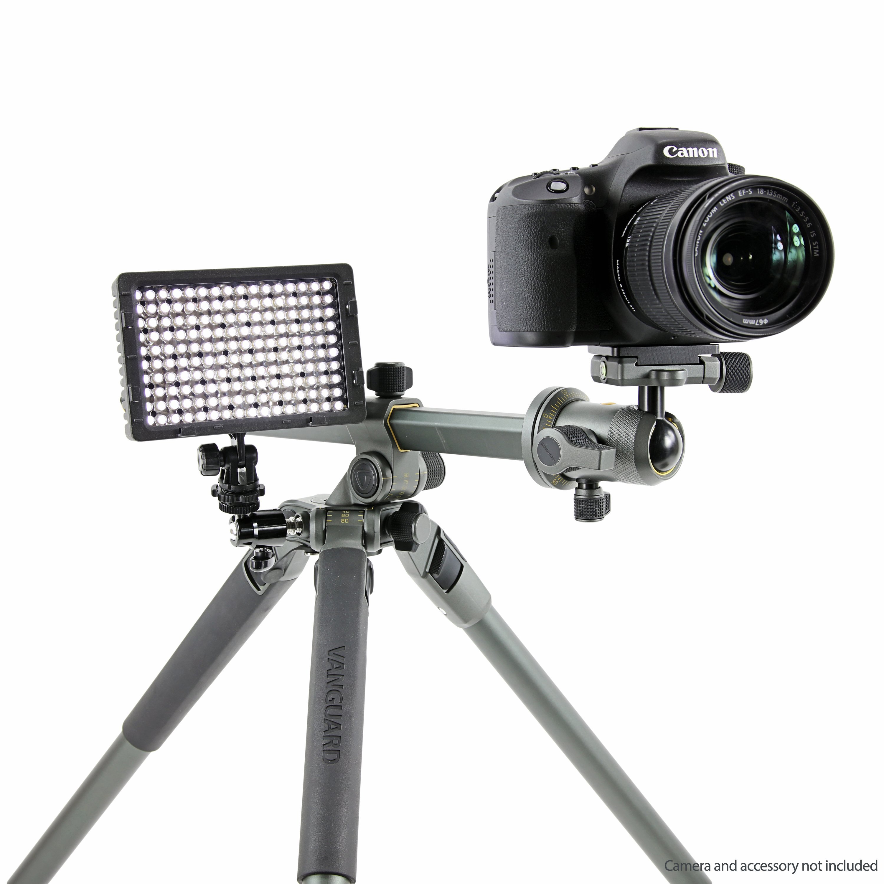 TThumbnail image for Vanguard Alta Pro 2+ 263AB tripod with BH100 head