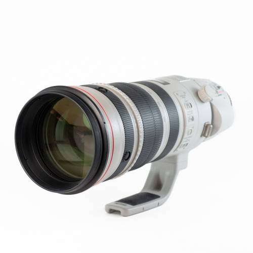 Canon EF 200-400mm f/4L IS USM avec Built-in 1.4x + Adaptateur de Monture avec Bague de Contrôle EF-EOS R *A*