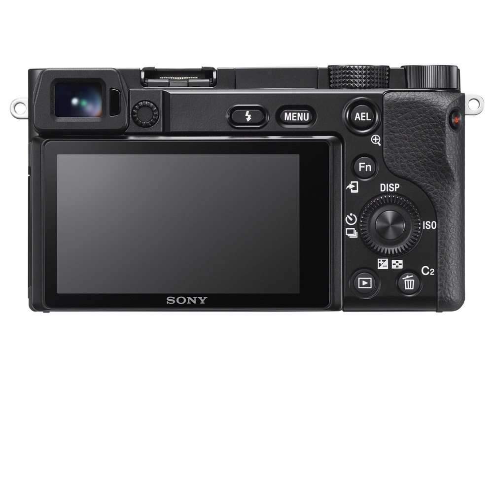 Sony Alpha 6100 + 16-50mm F3.5-5.6
