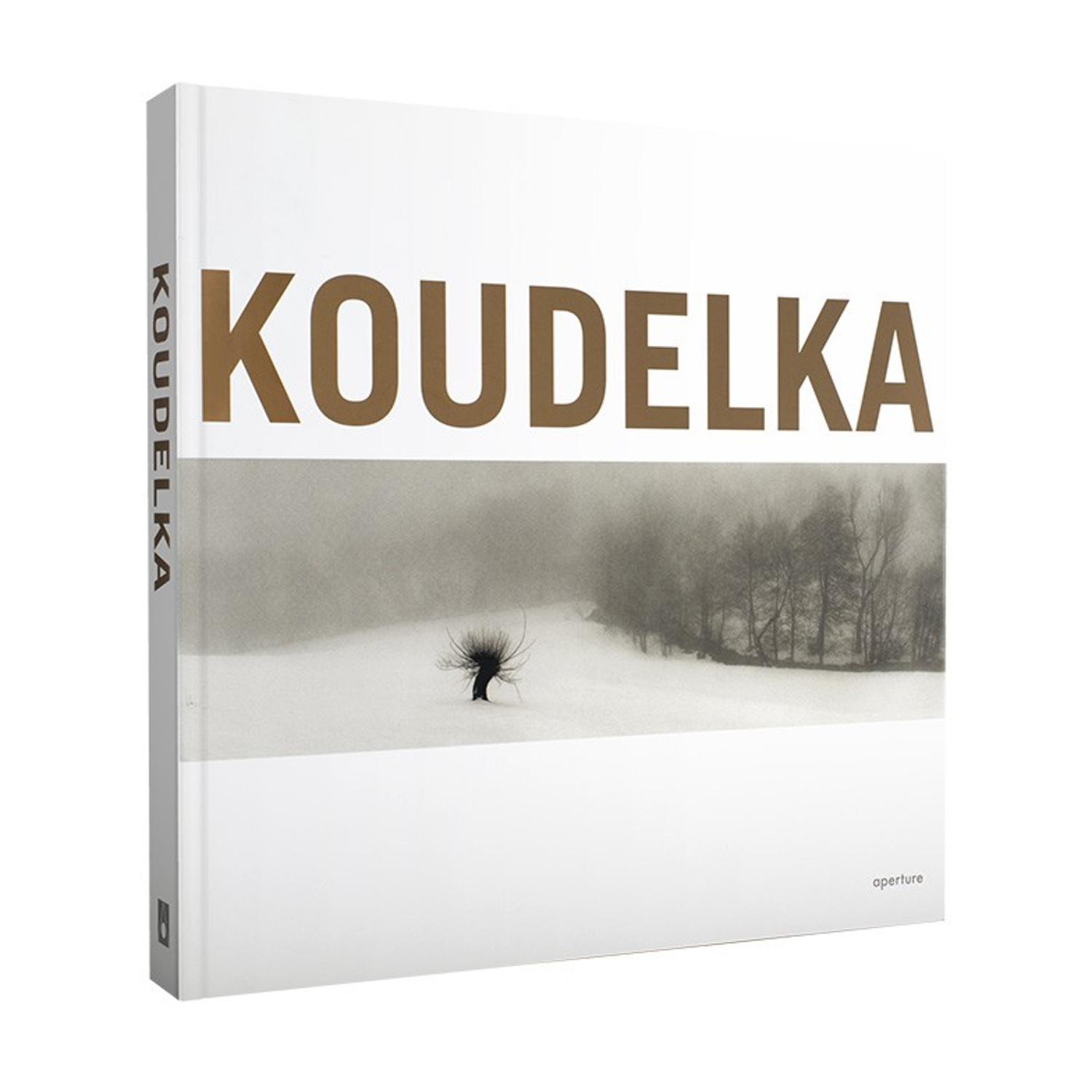 TVignette pour Koudelka