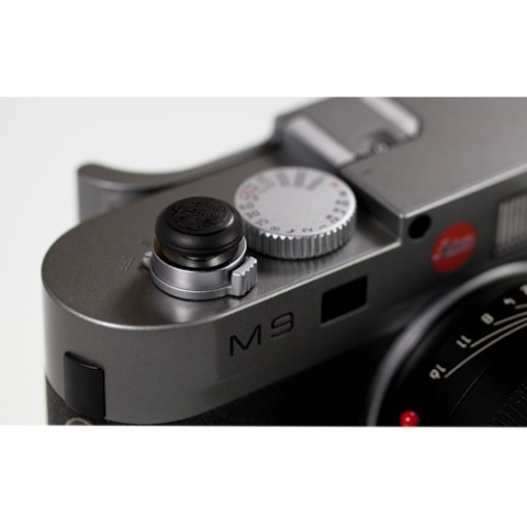 Black Dragon on Black Beep-O-L