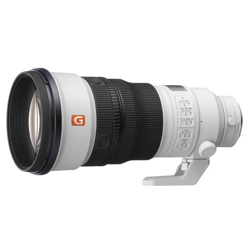 TVignette pour Sony FE 300mm F2.8 GM OSS