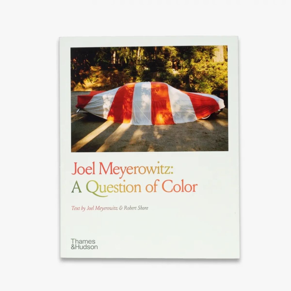 Joel Meyerowitz: A Question of Color