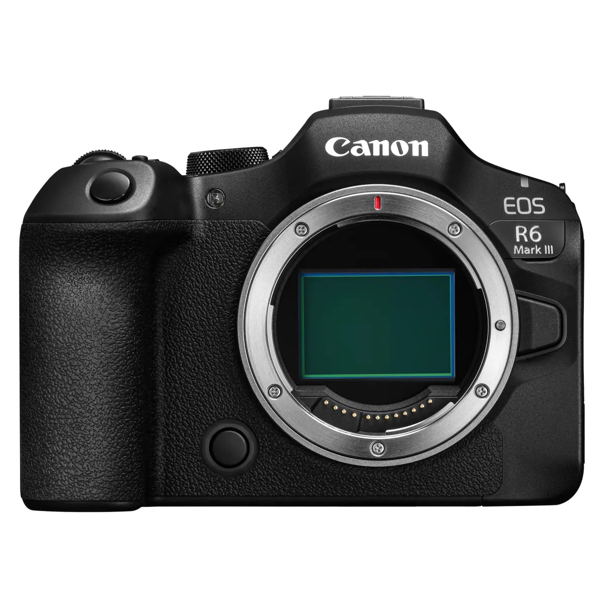 Canon EOS R6 III (Boîtier)