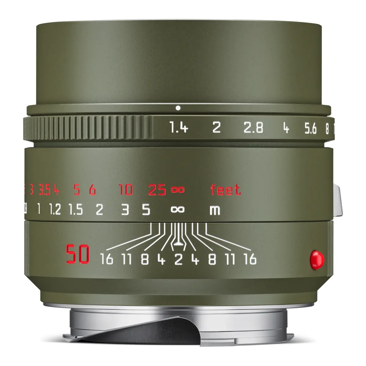 Leica Summilux-M 50 f/1.4 ASPH., Safari