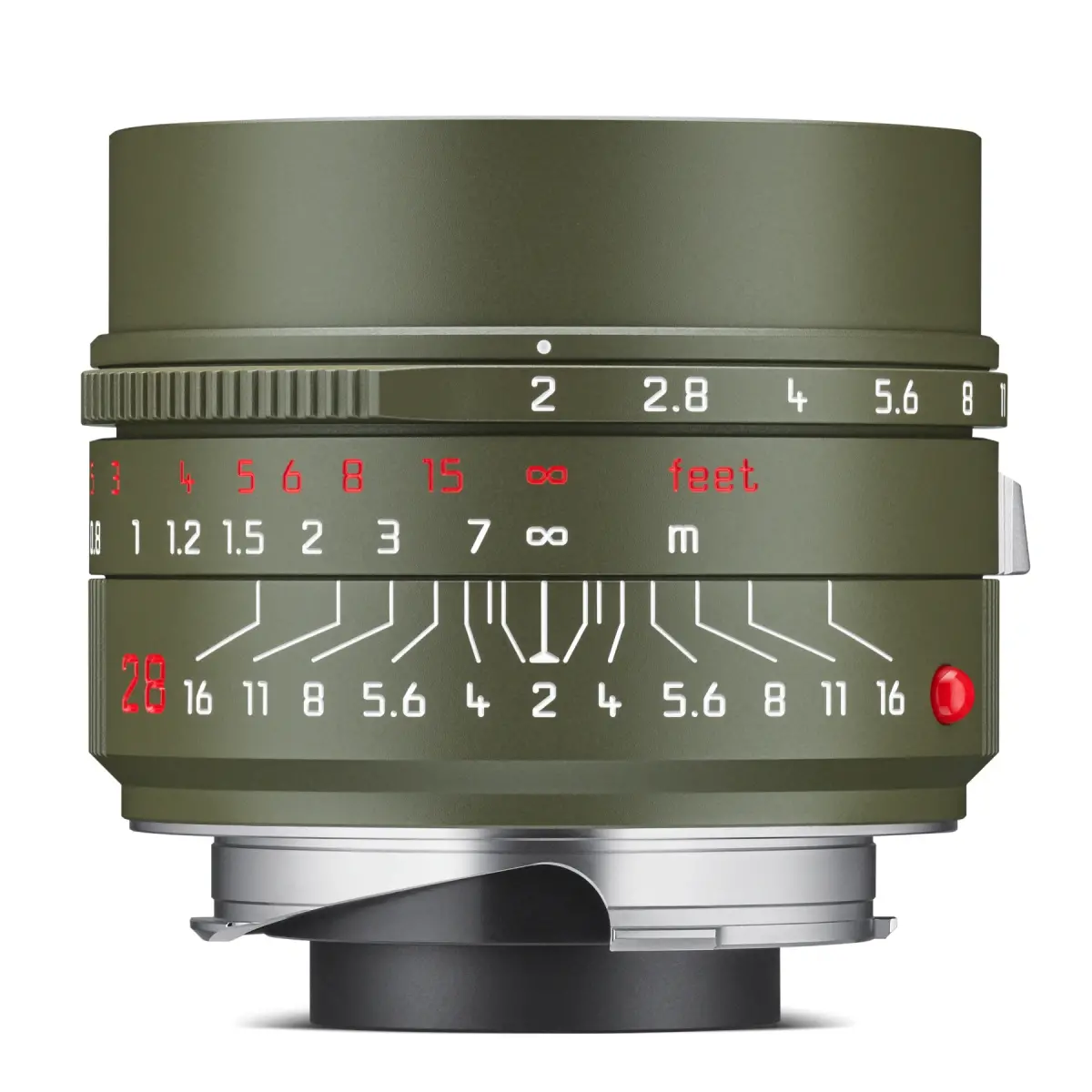 Leica Summicron-M 28 f/2 ASPH., Safari