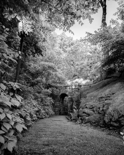 Hoya X1 Filtre de Conversion Couleur