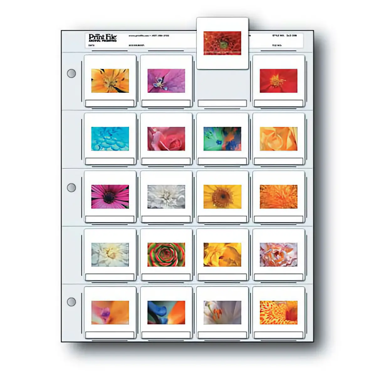 Print File 35mm  Slide Preservers (package of 25)