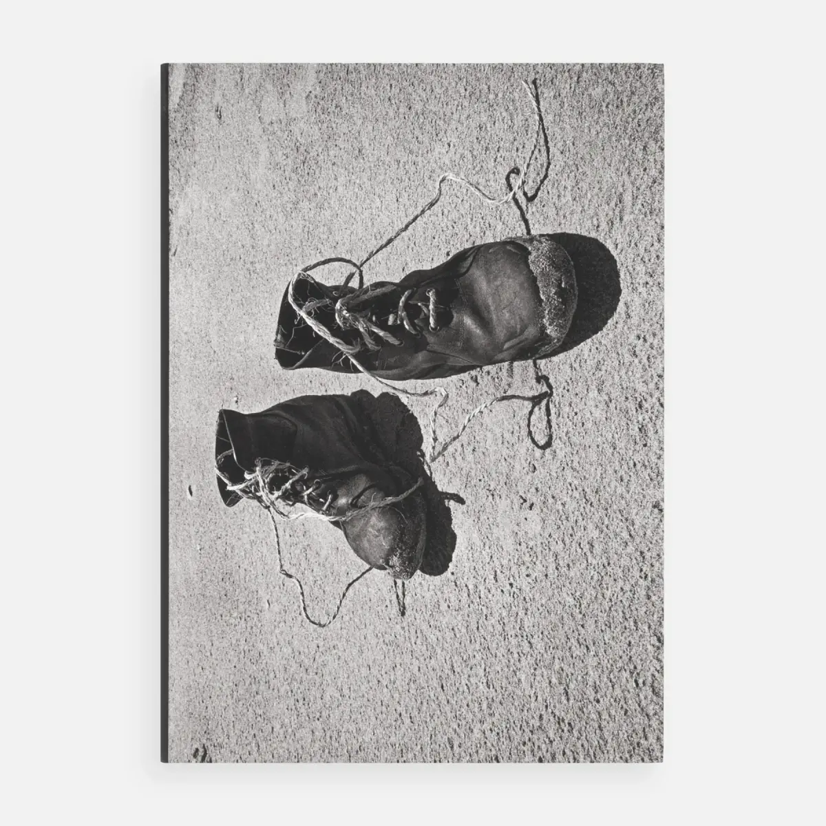 Josef Koudelka - Diaries